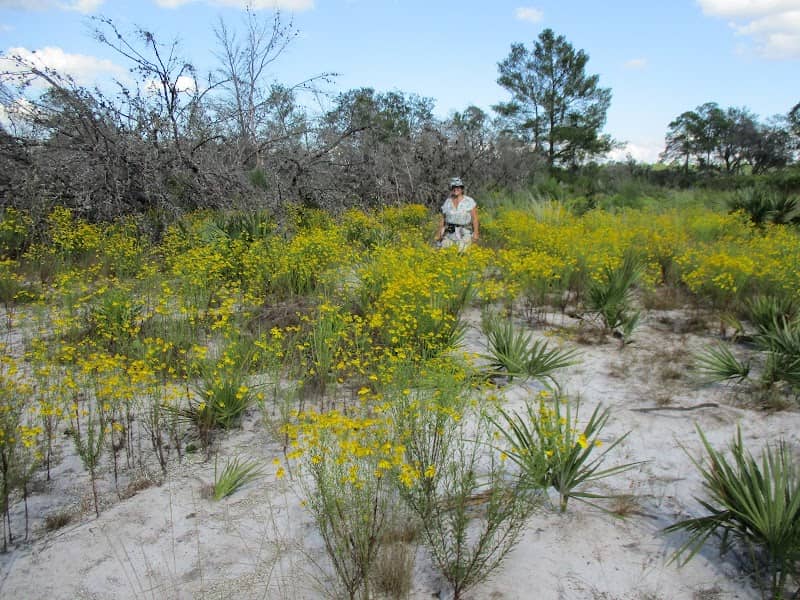 Jack Creek - Image 1