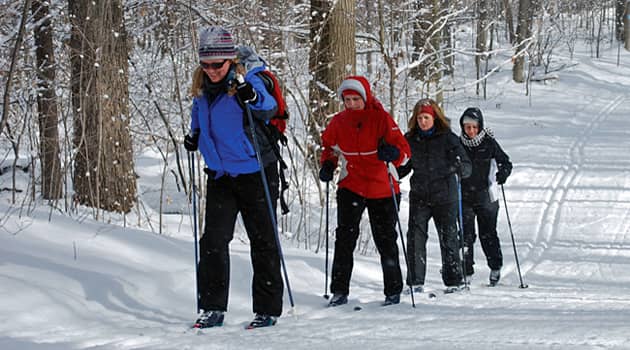 Chapin Forest Pine Lodge Ski Center (Lake Metroparks) - Image 1