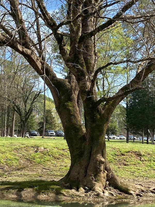 Leeds City Park - Image 1