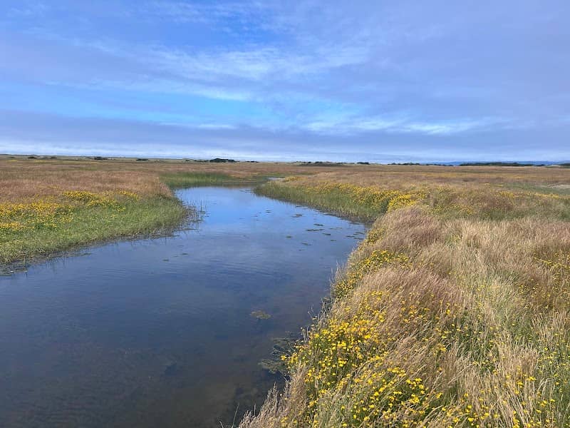 Lake Earl Wildlife Area - Image 1