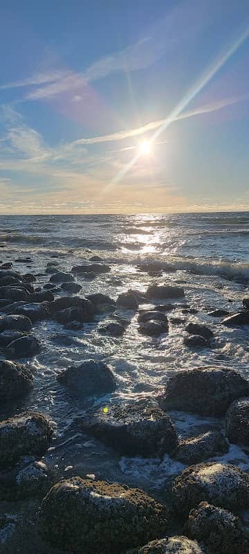 The Cove - Surfers Watch - Image 2