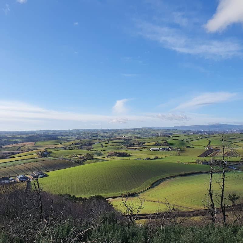 Scrabo Country Park - Image 2