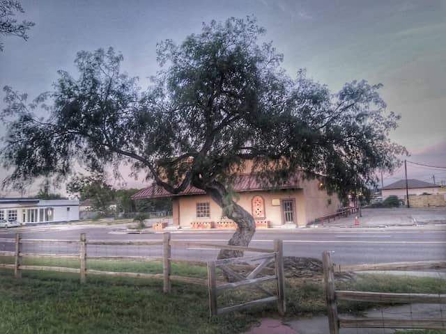 Urban Xeriscape Garden - Image 2
