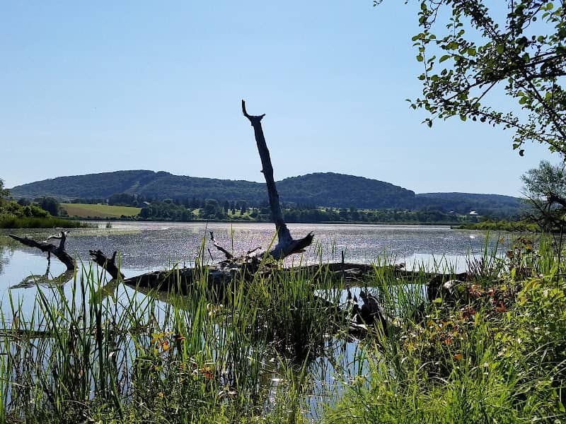 Dryden Lake Park - Image 1