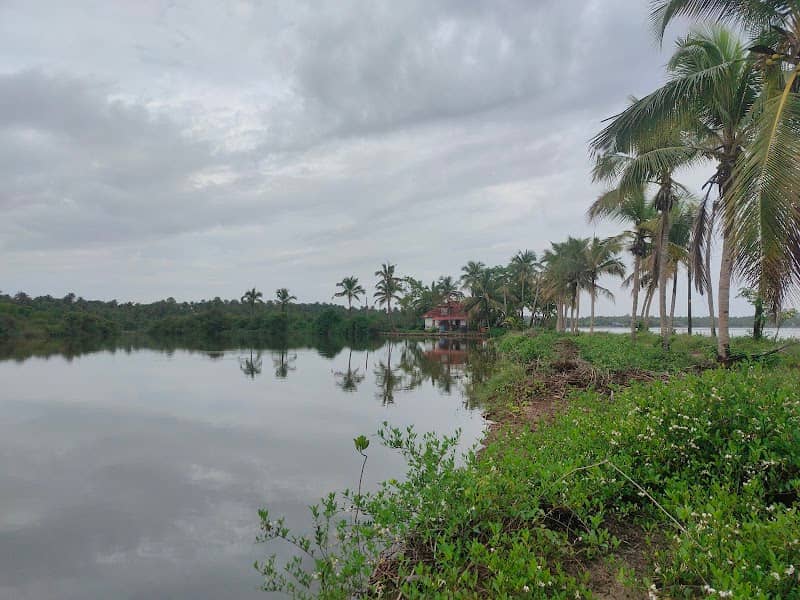 View point-Perungadu south thuruthu - Image 1