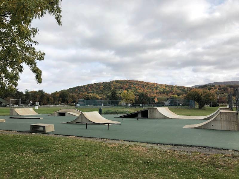Copake Skatepark - Image 1