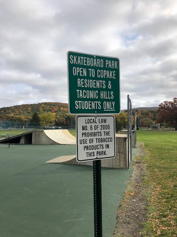 Copake Skatepark - Image 2