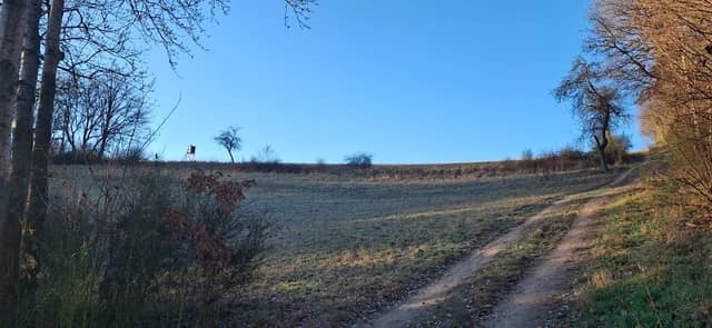 Reichenbach Nordhang - Image 2