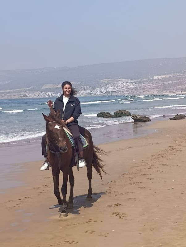 Banana Horse Adventures - Image 1