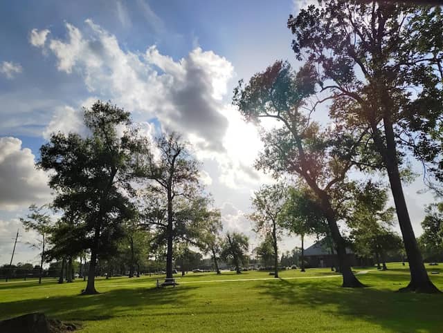 Roger's Park - Image 2