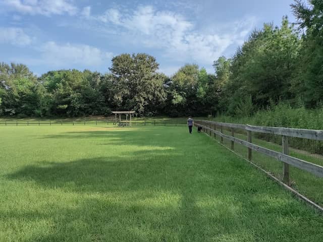 Wiggins Village Park - Image 2