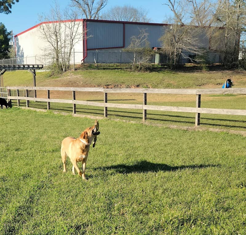 Wiggins Village Park - Image 1