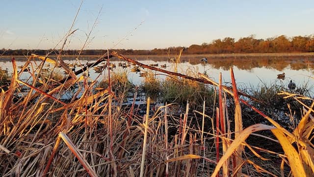 Overflow National Wildlife Refuge - Image 2