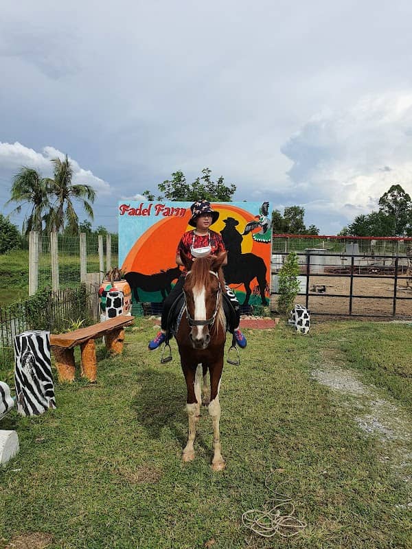 FADEL'S FARM - Image 1
