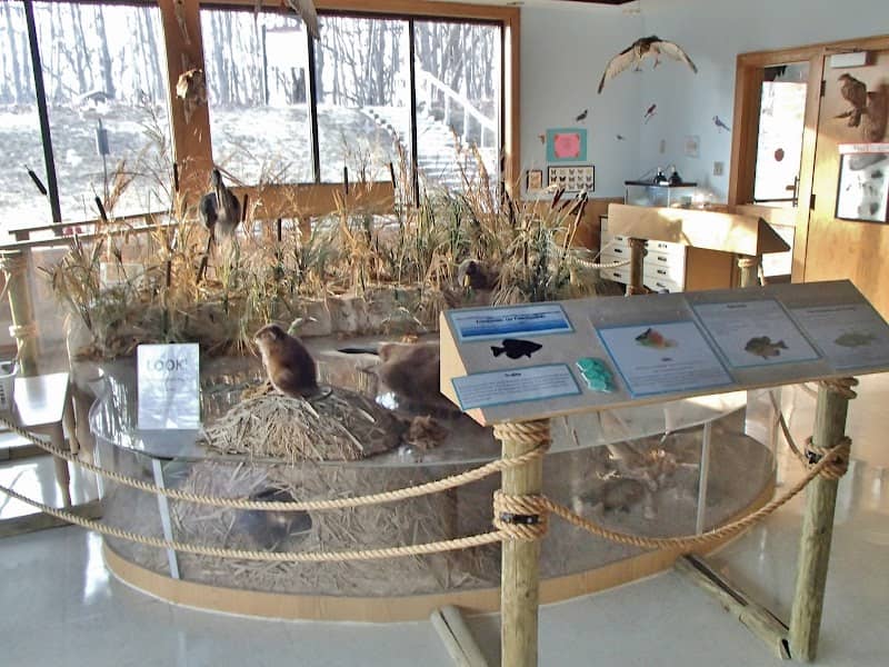 Prairie Grass Nature Museum - Round Lake Area Park District - Image 2