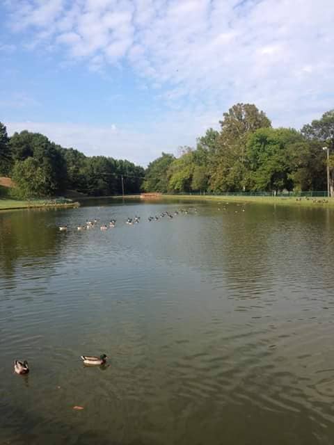 Darrell Almond Community Park - Image 2