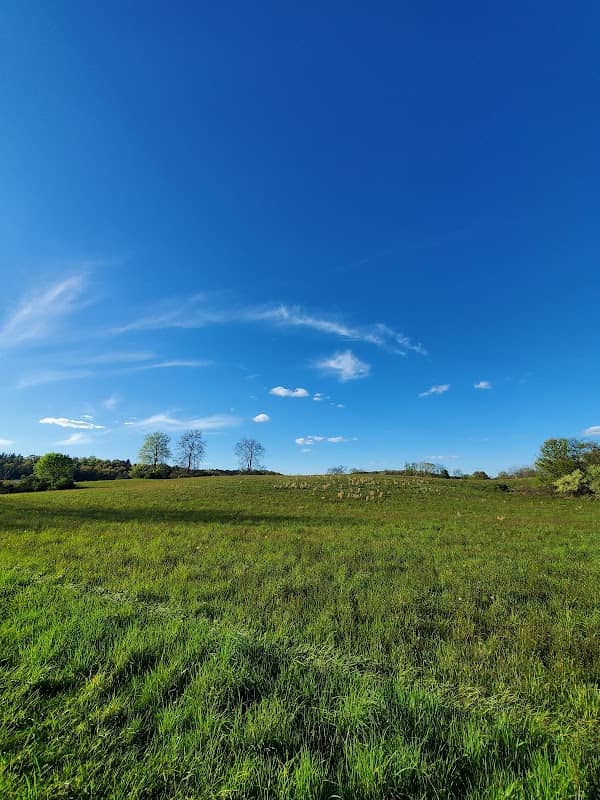 Van Buskirk Haney Park - Image 1