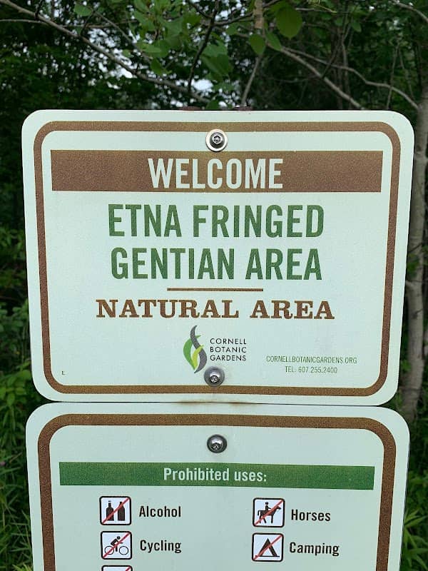 Etna Preserve - Image 2