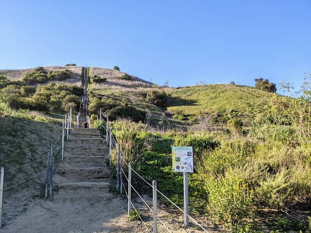 Baldwin Hills Scenic Overlook - Image 2
