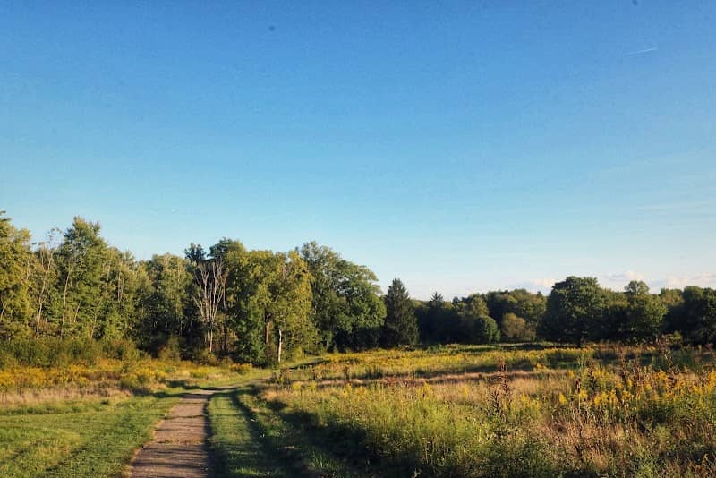 Paddock River Preserve - Image 2