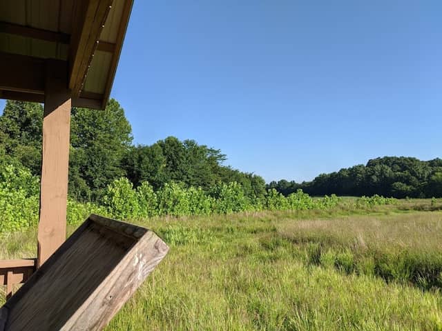 Wetland Observation Deck - Image 2