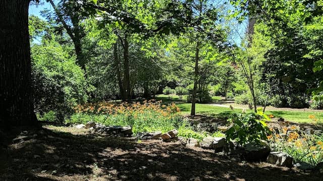 Beale Garden - Image 3