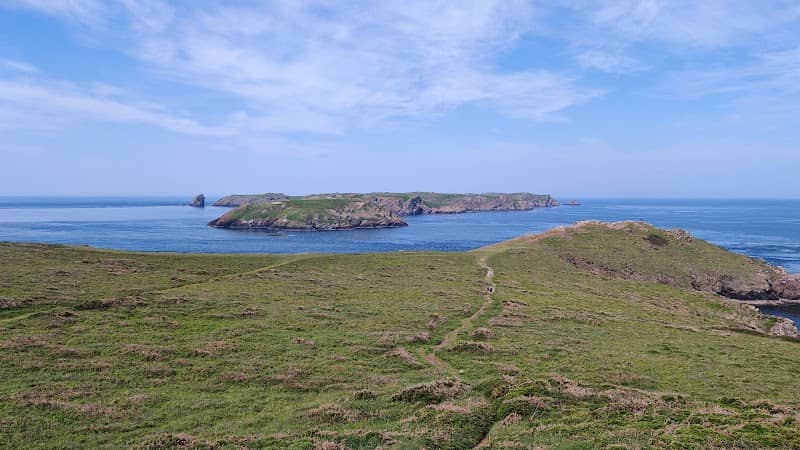 Deer Park - Image 1