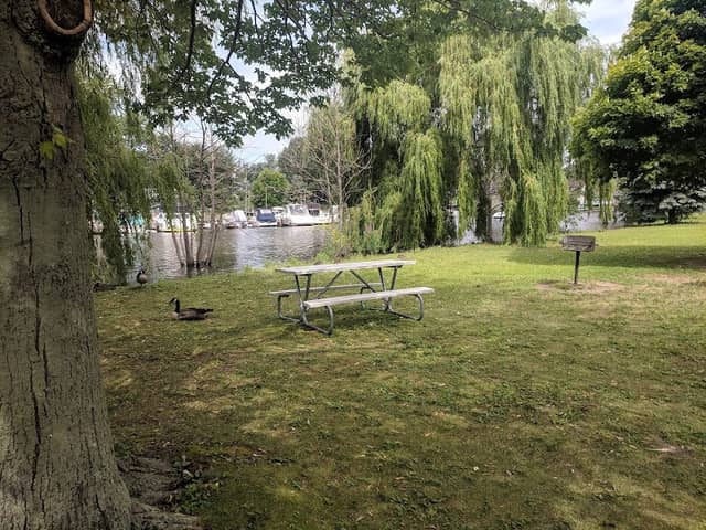 Black River Park - Image 1