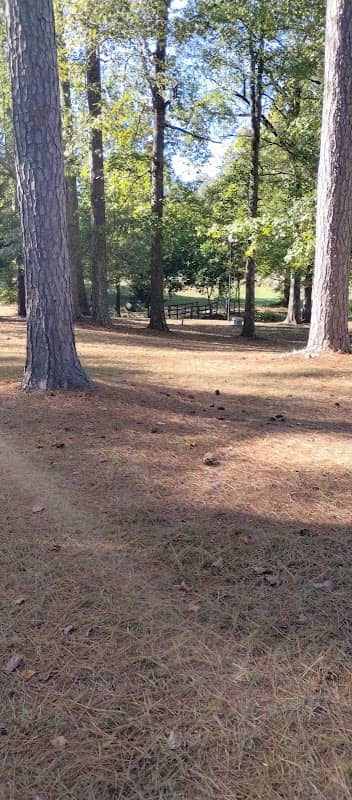 Molly Estes JW Young Park - Image 1