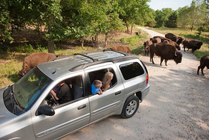 Wildlife Safari Park - Image 1