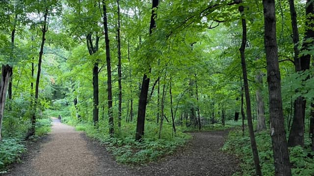 Henry's Woods Park - Image 1