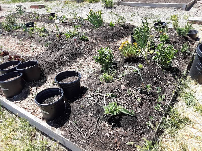 Paloma Community Garden - Image 1