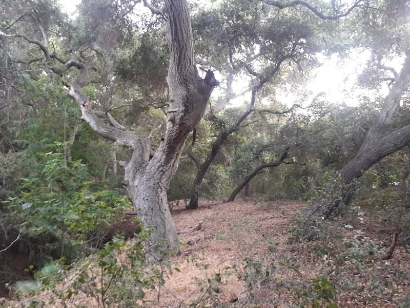 Golden Hills Wilderness Park - Image 1