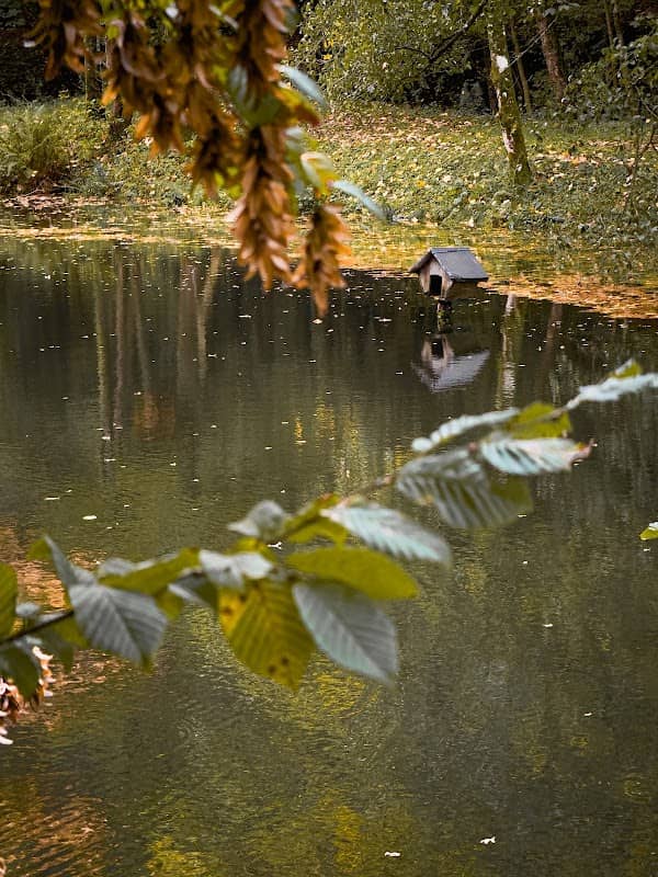 Biotop Niederdreisbach - Image 1