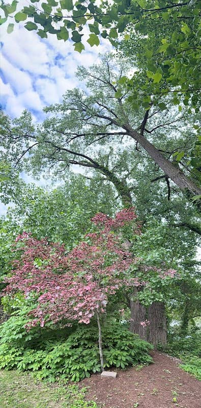 Conrad Park - Image 3
