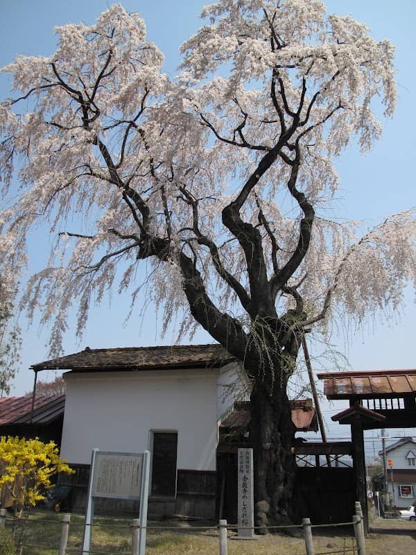 Konzoji - Image 1