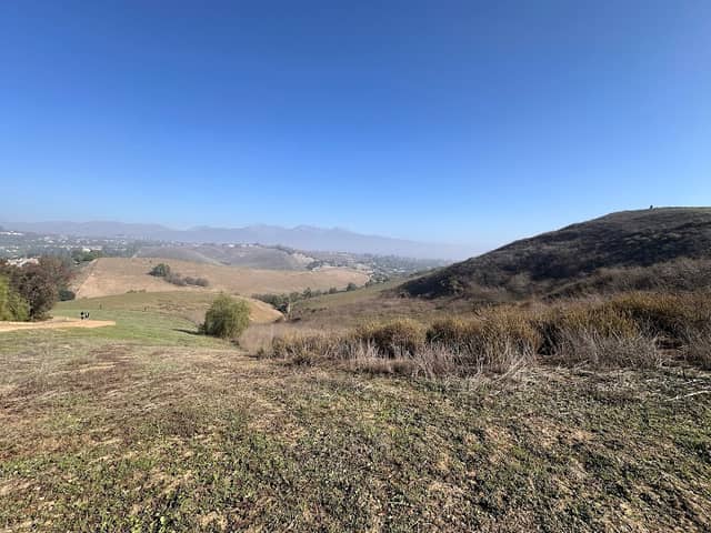 Helen McCoy Loop - Image 2