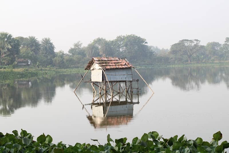 East Kolkata Wetlands - Image 2