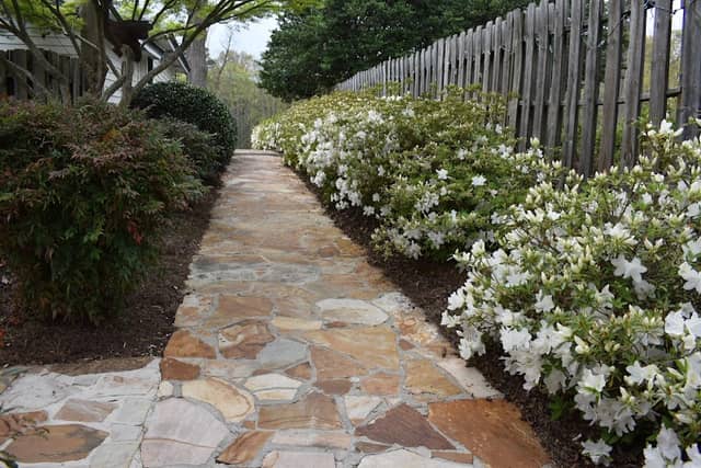 Charlotte Weaver Rose Garden - Image 1