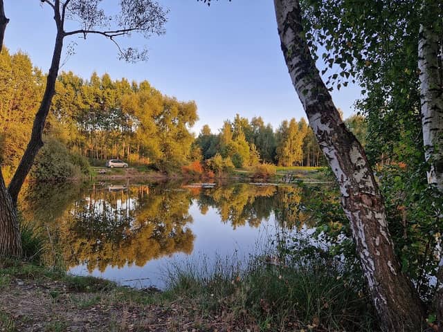 Staw w Mrowiskach - Image 1