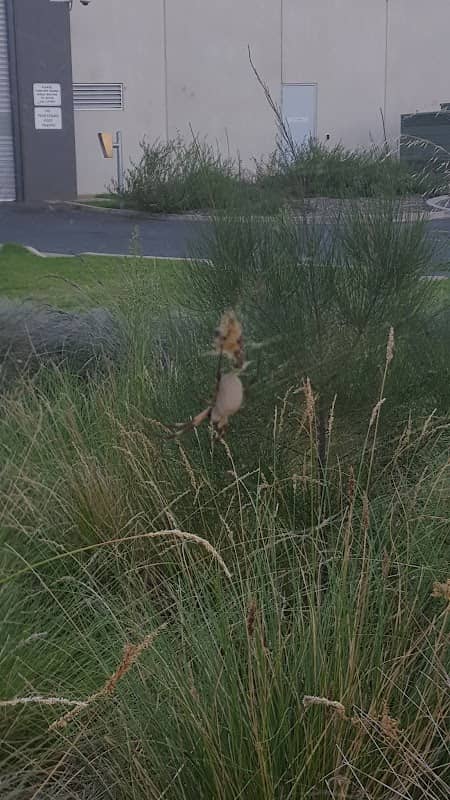 Bean Park - Image 1