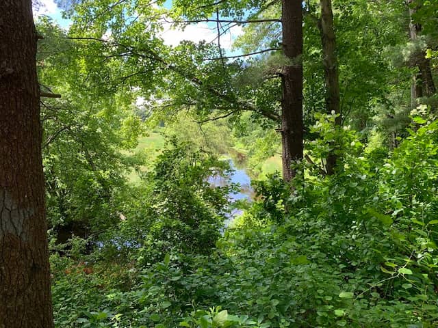 Tuckerwood Conservation Area - Image 1