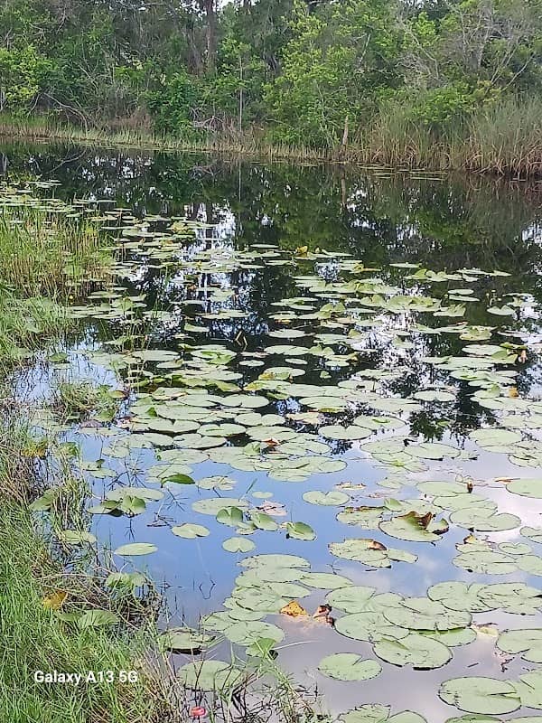 Arnold Brothers Park - Image 2