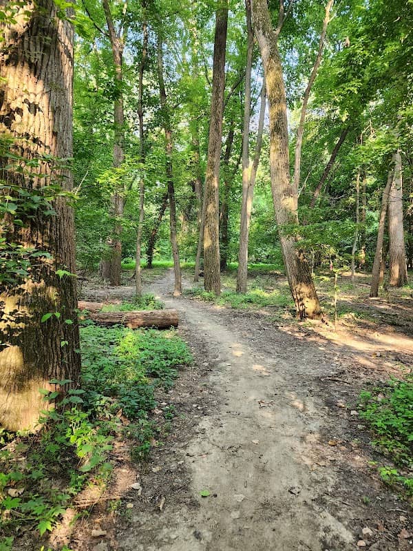 Bangert Island - Image 2