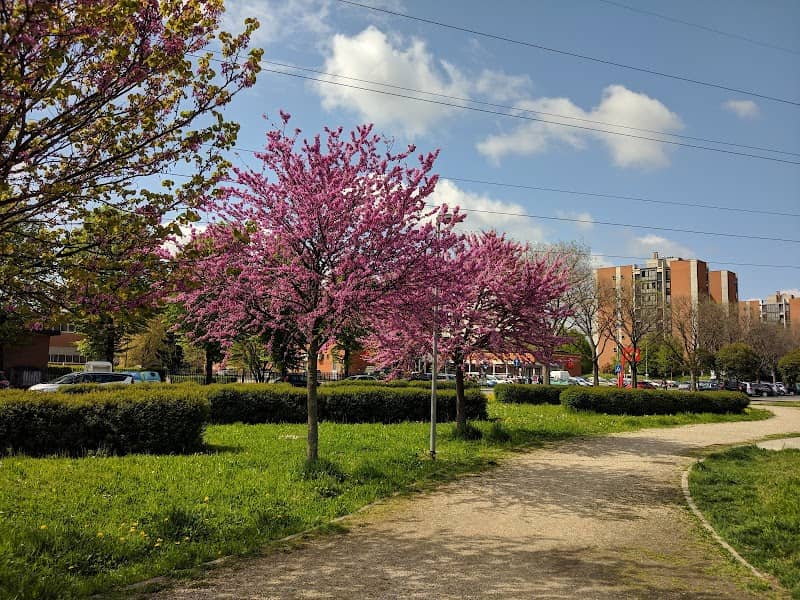 the Aldo Moro Sports Park - Image 2