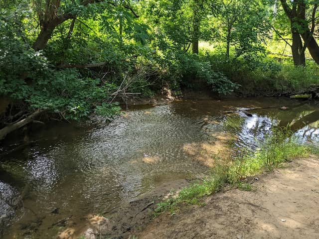 Ballenger Creek Trail - Image 1