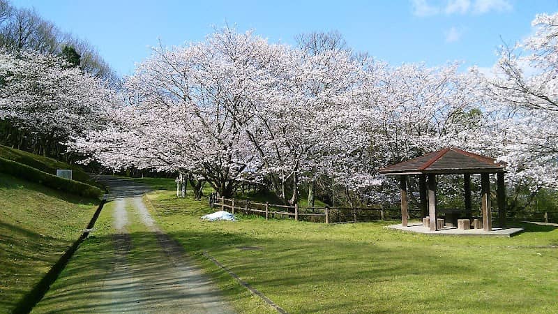 Okadake Park - Image 1