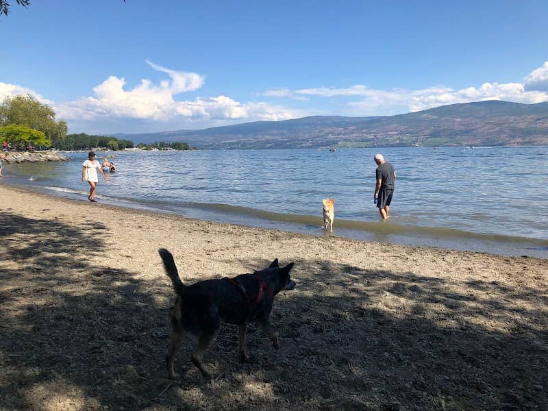 Gellatly Dog Beach - Image 1