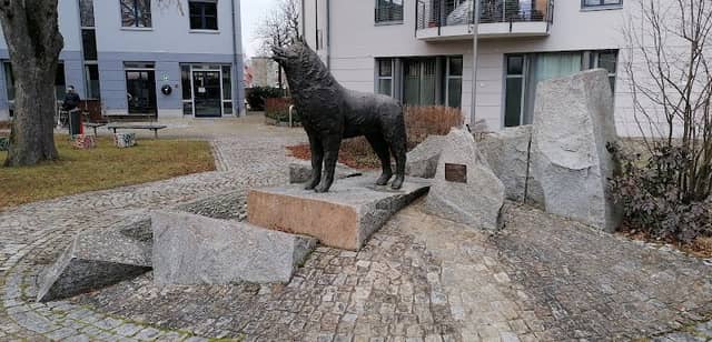 Schwabhauser Wolf - Image 1