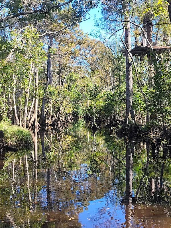 The Swamp Park- Zip Line and ATV Center - Image 2